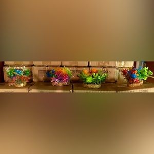 COPY - Aquarium plants bundle of 4